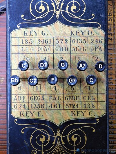Closeup of of the pushbutton arrangement of these unique autoharps.